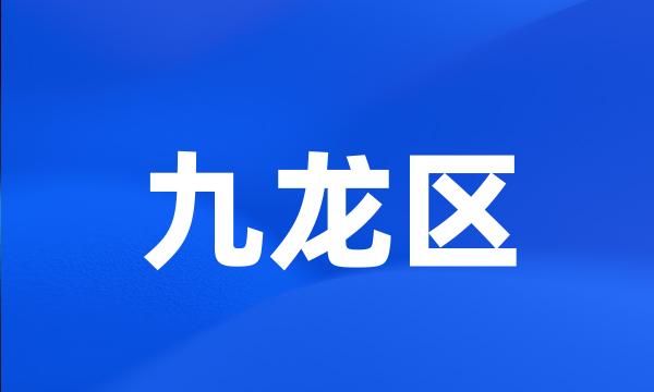 九龙区