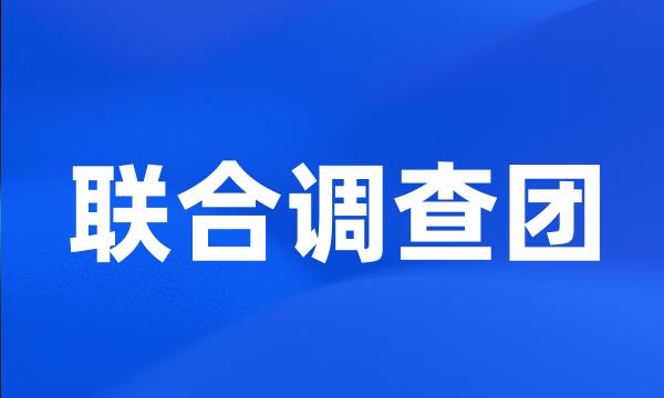 联合调查团