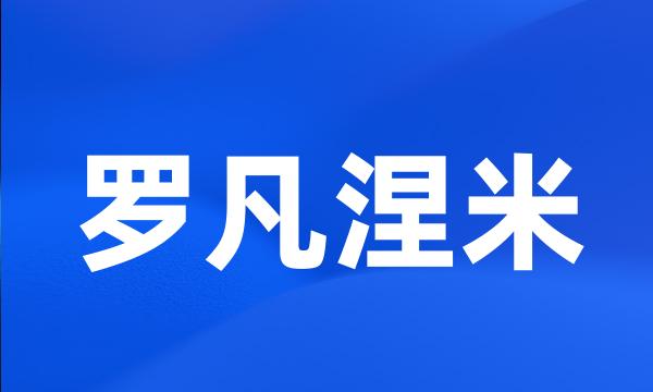 罗凡涅米