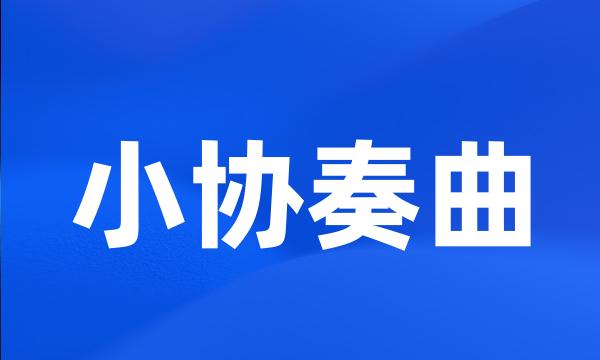 小协奏曲