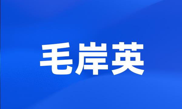 毛岸英