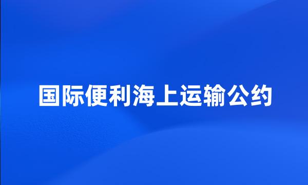 国际便利海上运输公约