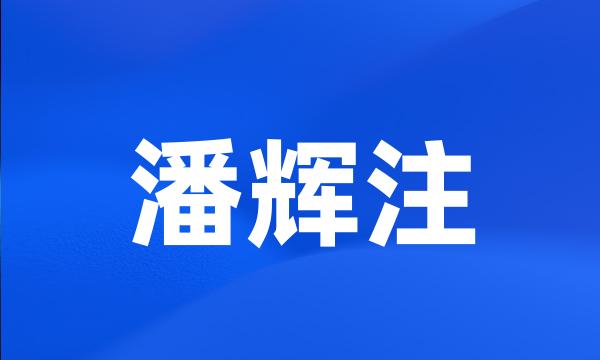 潘辉注