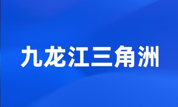 九龙江三角洲