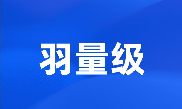 羽量级