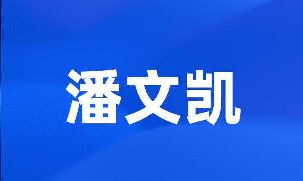 潘文凯