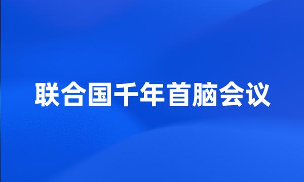 联合国千年首脑会议