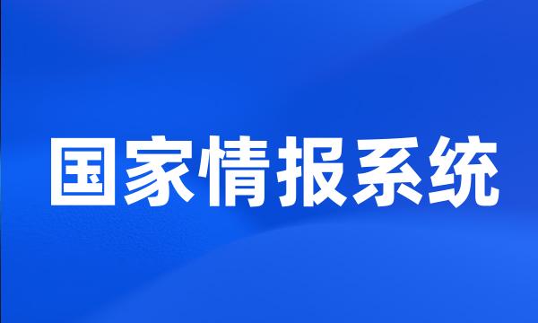 国家情报系统