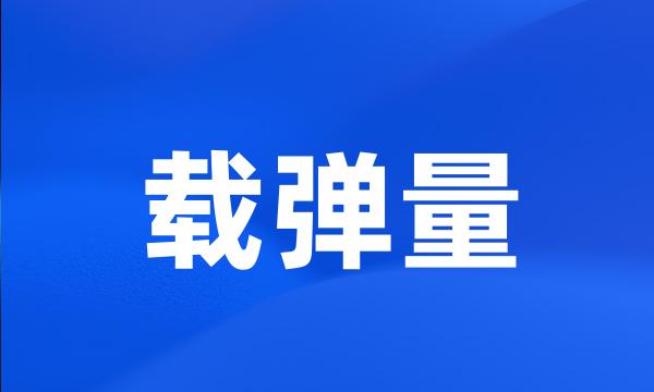 载弹量