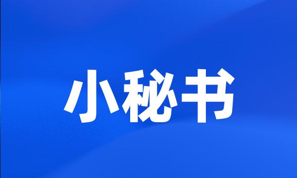 小秘书