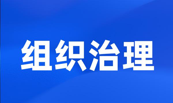 组织治理