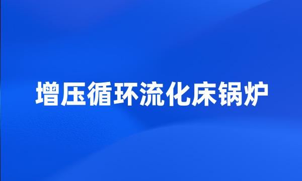 增压循环流化床锅炉