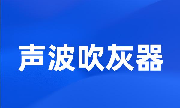 声波吹灰器