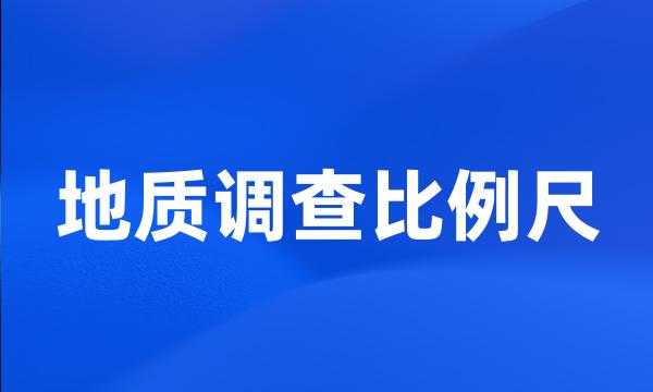 地质调查比例尺