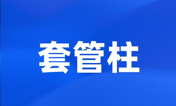 套管柱