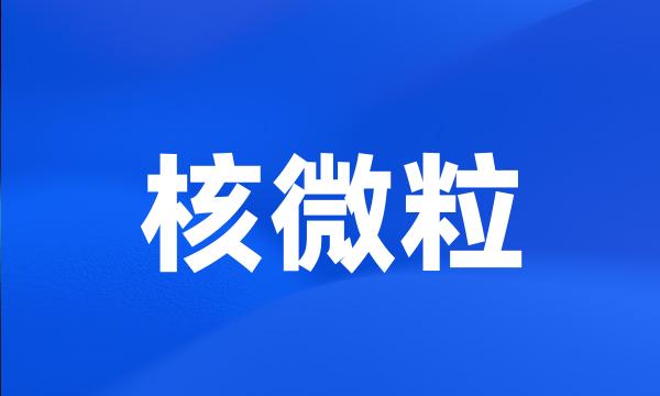 核微粒