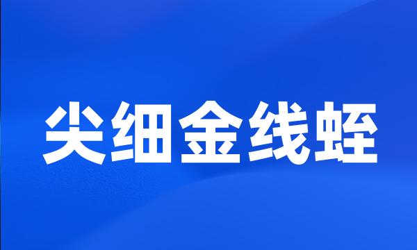 尖细金线蛭