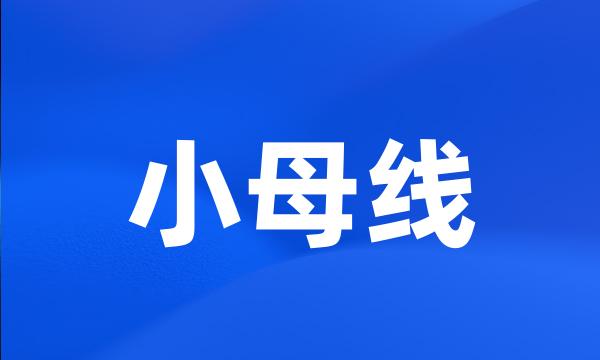 小母线