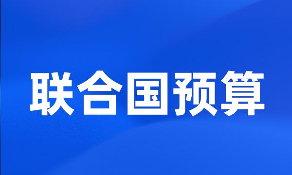 联合国预算