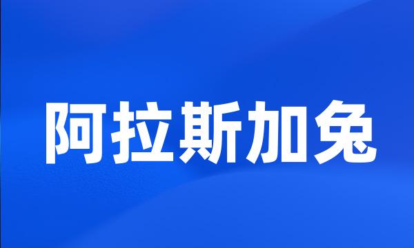 阿拉斯加兔