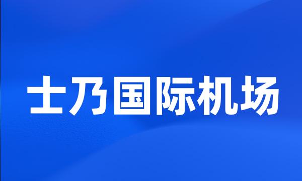 士乃国际机场