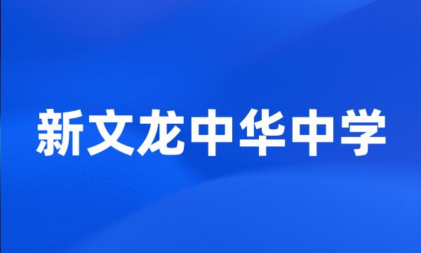 新文龙中华中学