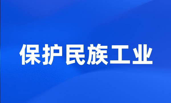 保护民族工业