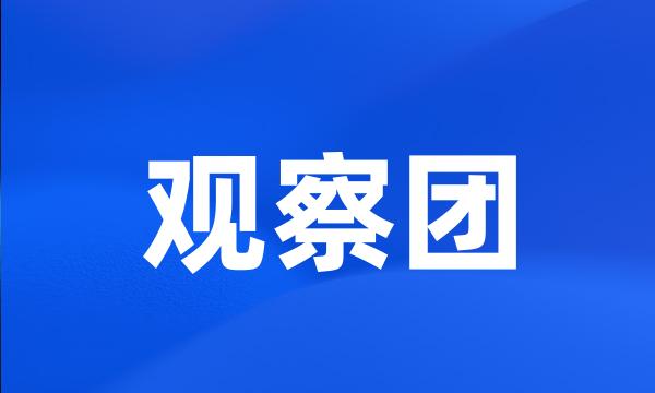 观察团