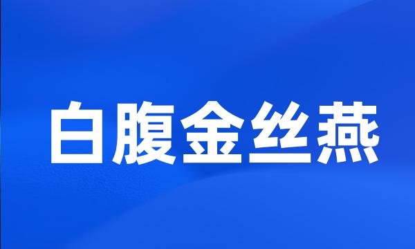 白腹金丝燕