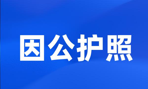 因公护照