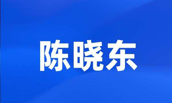 陈晓东