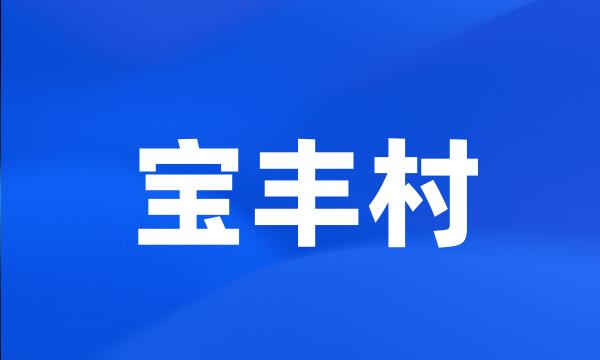 宝丰村