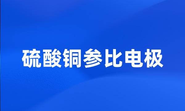 硫酸铜参比电极