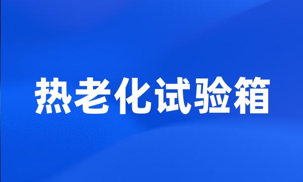 热老化试验箱