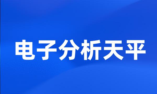 电子分析天平