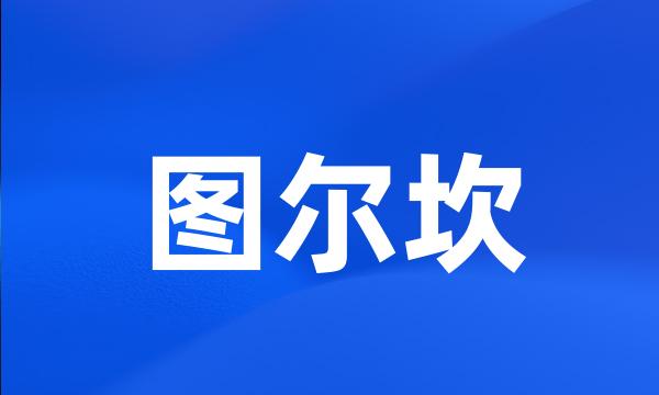 图尔坎