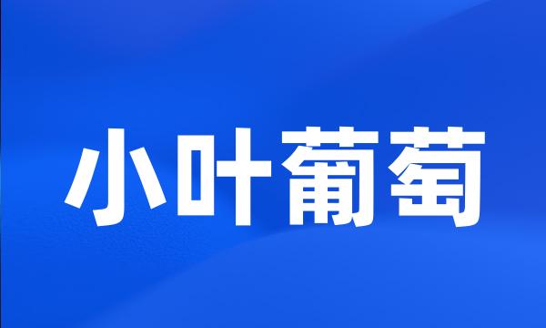 小叶葡萄