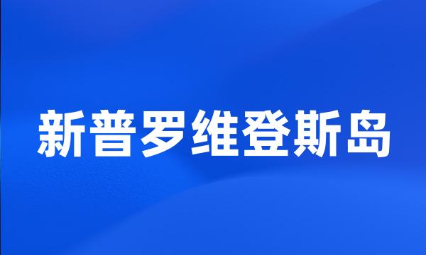 新普罗维登斯岛