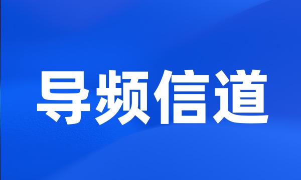 导频信道