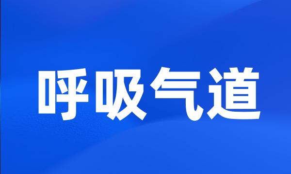 呼吸气道