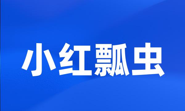 小红瓢虫