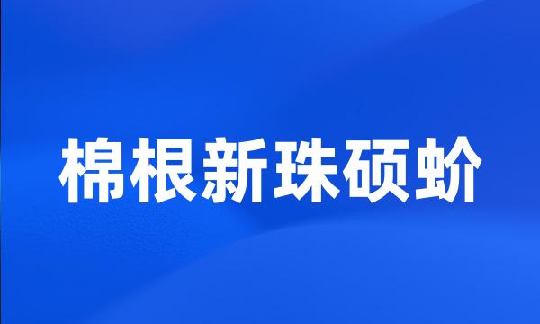 棉根新珠硕蚧