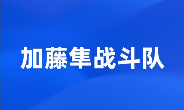 加藤隼战斗队