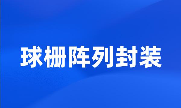 球栅阵列封装