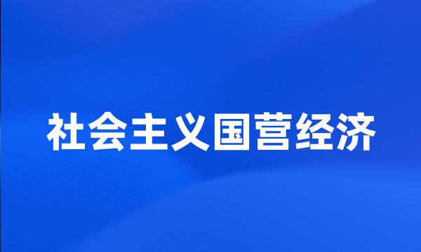 社会主义国营经济