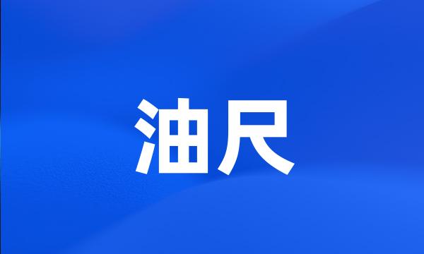 油尺