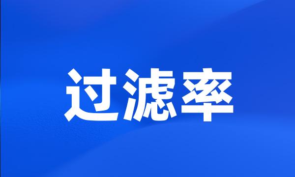 过滤率