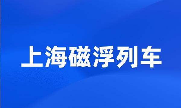 上海磁浮列车