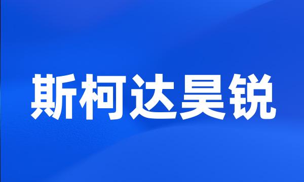 斯柯达昊锐