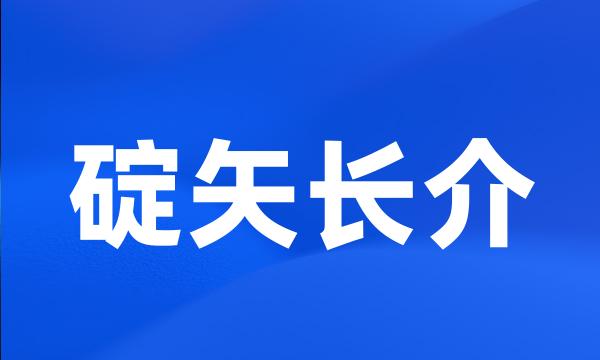 碇矢长介